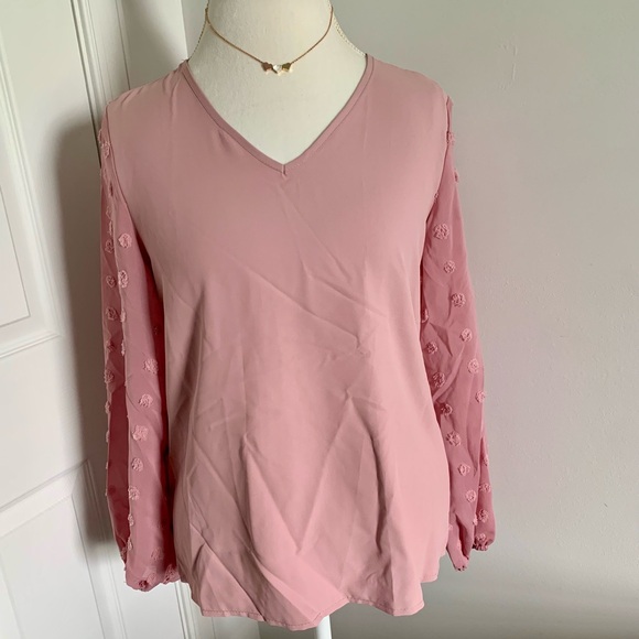 *Host Pick!🎉 Light Pink Swiss Dot Lantern Sleeve V-Neck Blouse - Picture 5 of 11